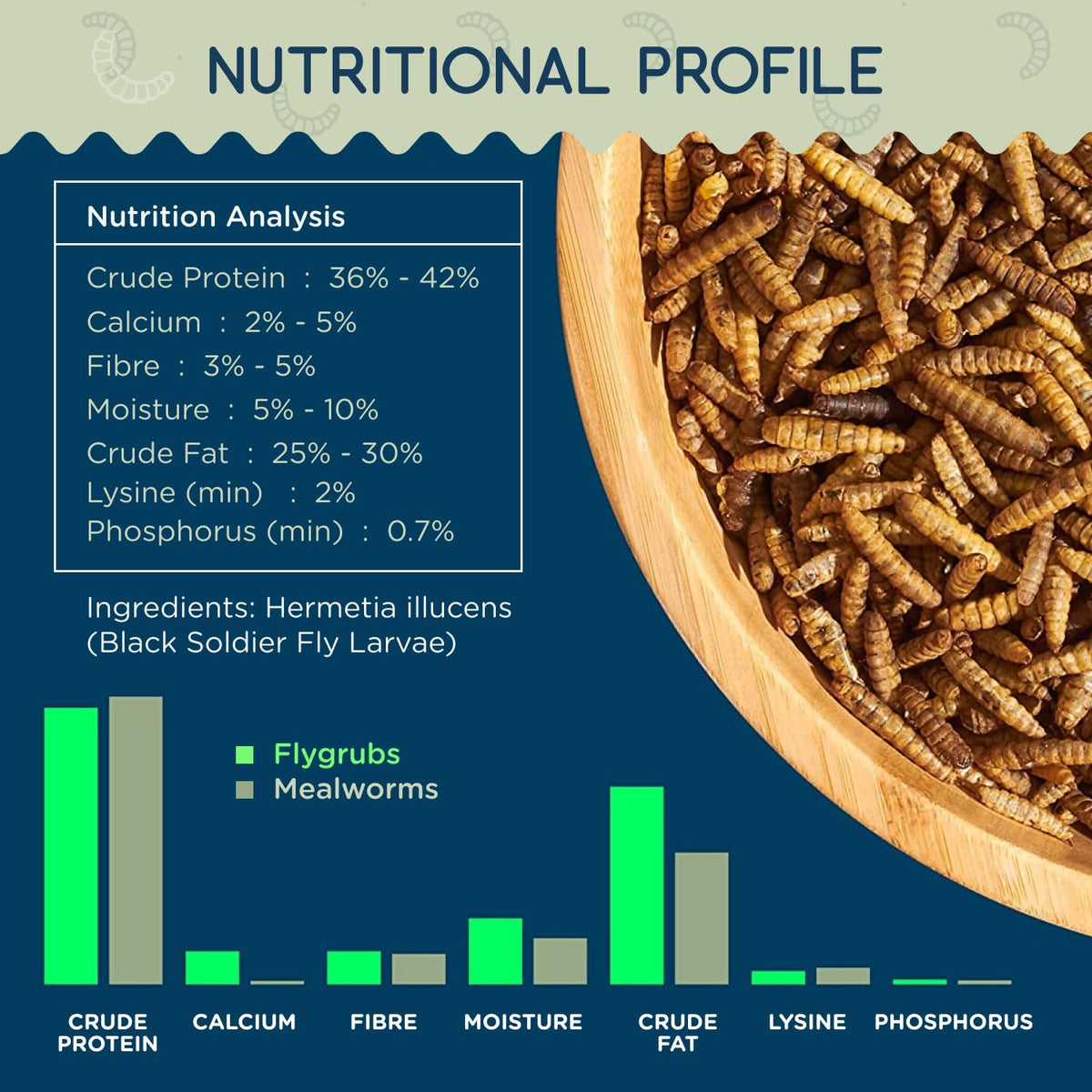 Flygrubs 85x calcium-dense larvae support stronger eggshells in hens.