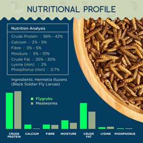 Flygrubs 85x calcium-dense larvae support stronger eggshells in hens.