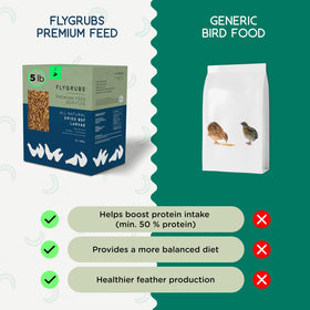 Flygrubs mess-free dried larvae provide a clean, convenient treat.