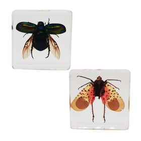FlyingBean close-up of spotted lanternfly pattern in resin, ideal for identification and imaging