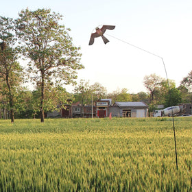 Flyonte Bird Hawk Kite protects 200-500sqm of farmland or garden.