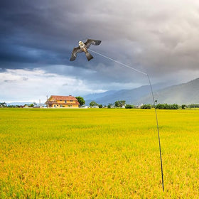 Flyonte coverage up to 500sqm protects gardens and orchards from birds.