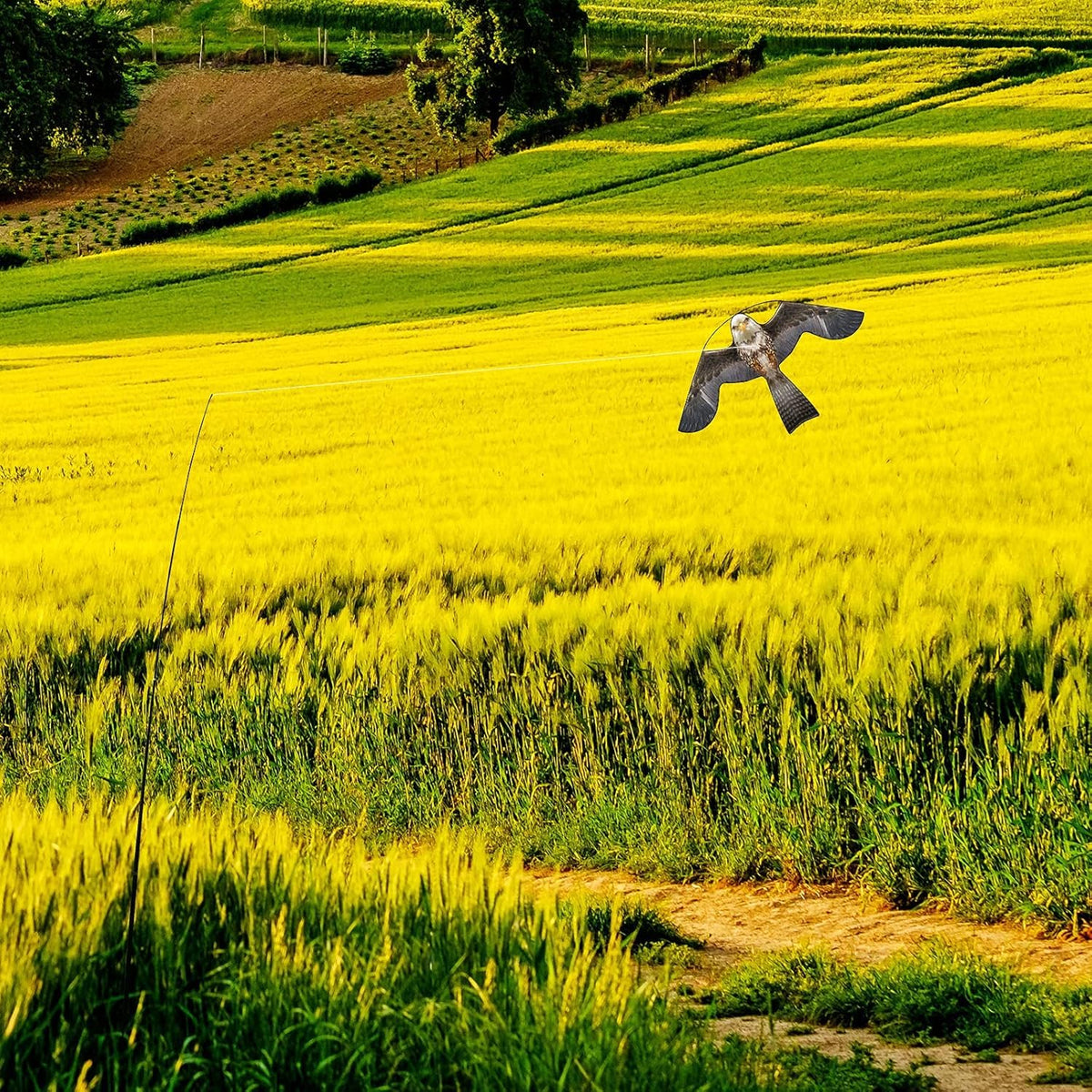 Flyonte kite delivers stable flight even in light winds for reliable deterrence.