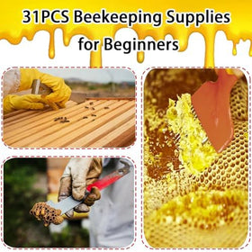 FodManTakin stainless steel tools deliver durable performance for daily hive tasks