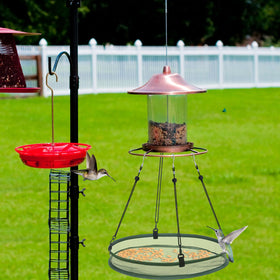 FoldTier dual-tray setup encourages communal feeding and interaction.