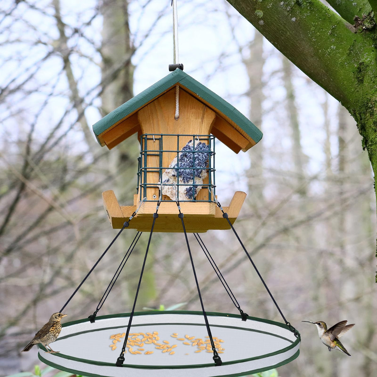 FoldTier outdoor bird feeding setup ready for hummingbirds and other visitors.