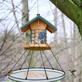FoldTier outdoor bird feeding setup ready for hummingbirds and other visitors.