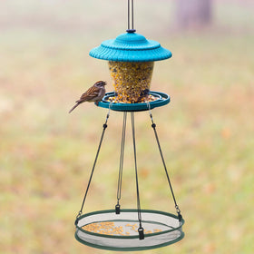 FoldTier spacious 16x16 inch catcher accommodates diverse bird species.