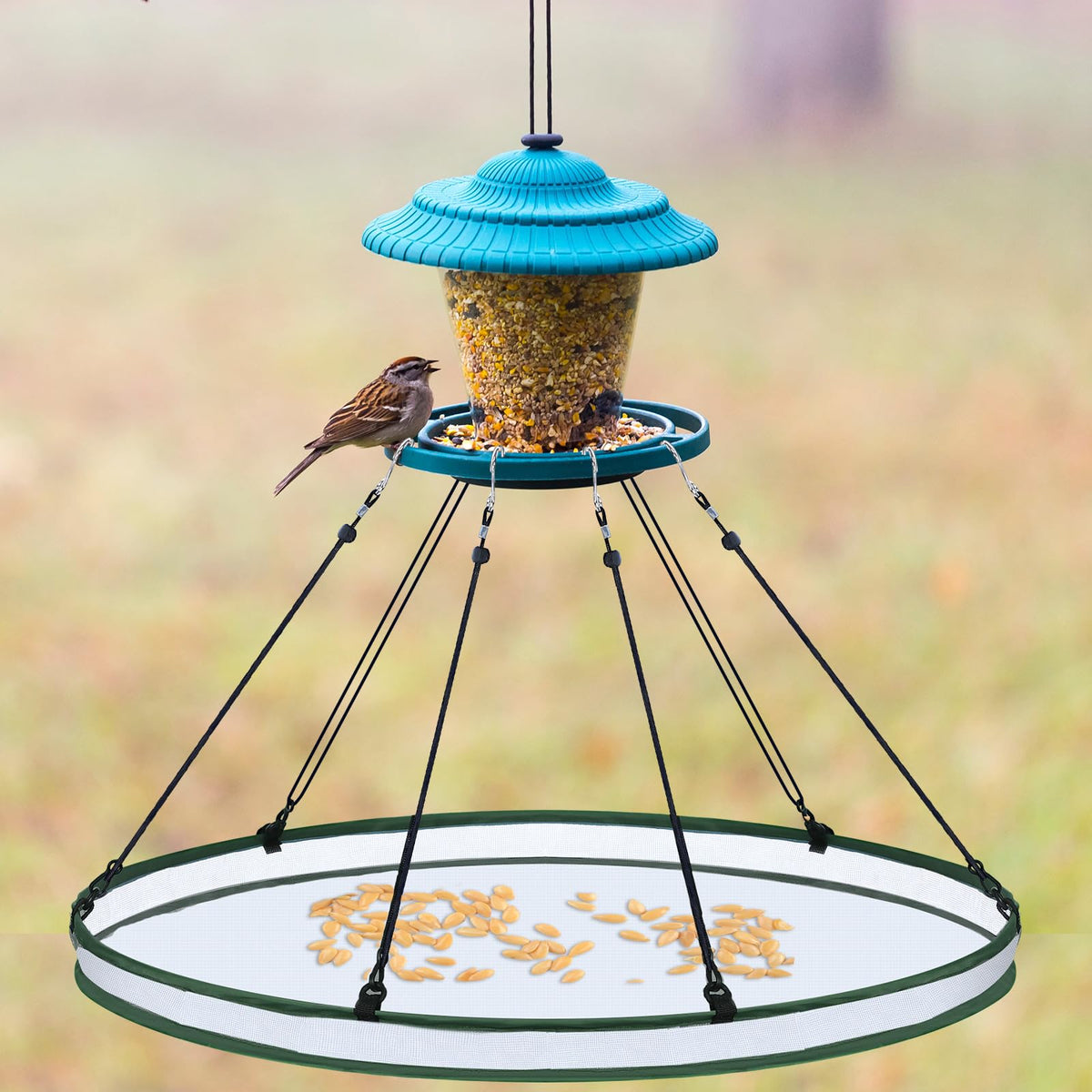 FoldTier spacious seed catcher aerial view highlights room for multiple birds.