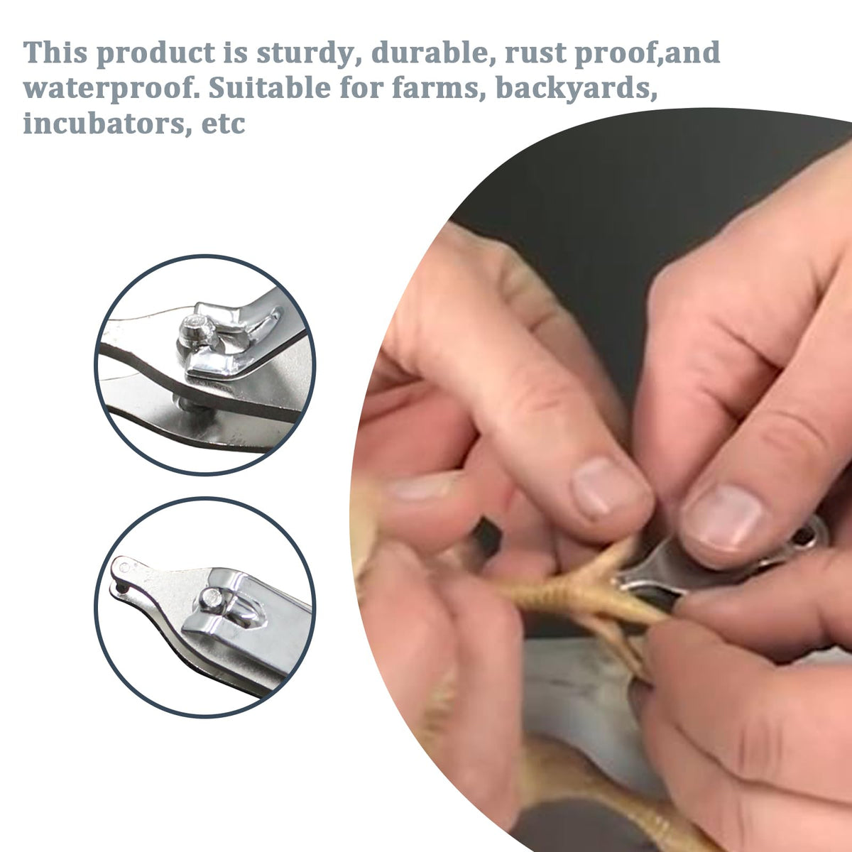 Follde 16-marker system allows customizable chick markings with four punches.