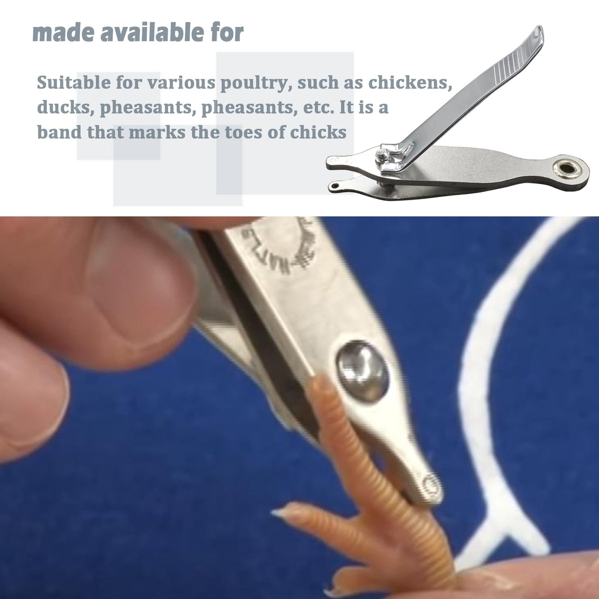 Follde marking tool ideal for day-old chicks in busy hatcheries.