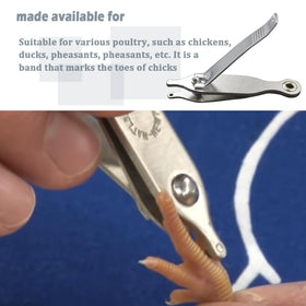 Follde marking tool ideal for day-old chicks in busy hatcheries.