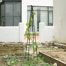 FOLLOOK black garden trellis blends with outdoor decor.