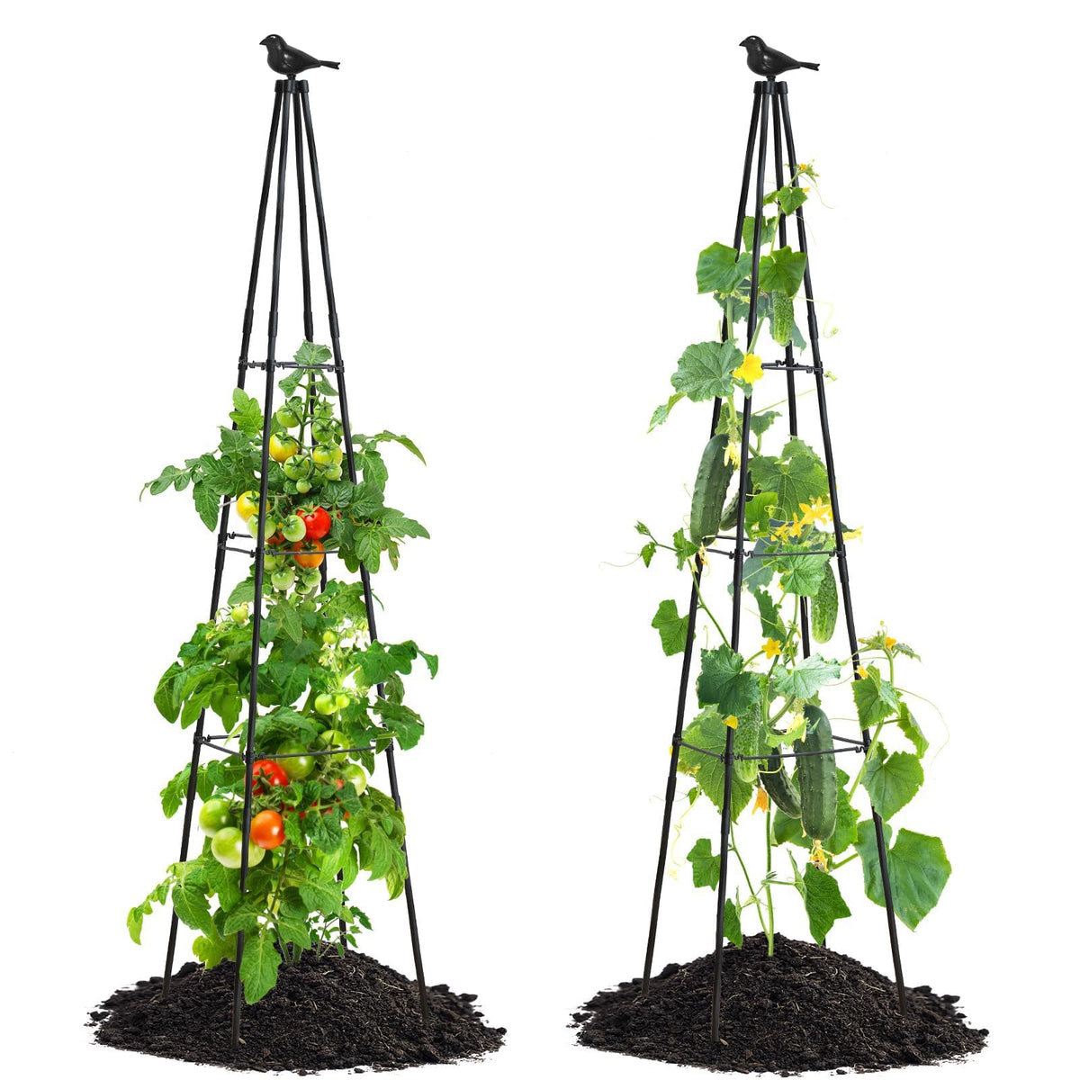 FOLLOOK cucumber trellis 67inch obelisk supports climbing vines outdoors.