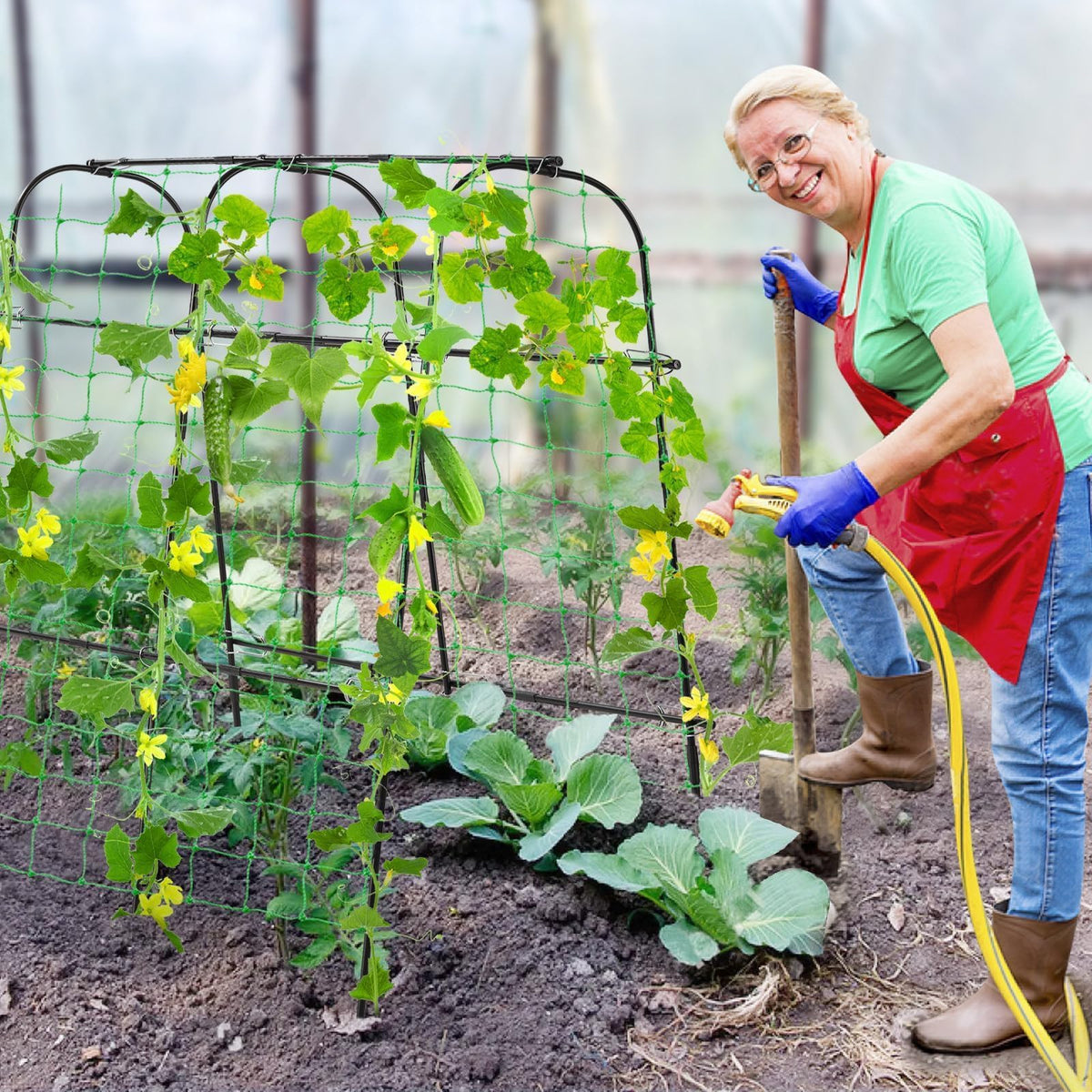 Follook cucumber trellis demonstrates adjustable width for flexible bed sizing.