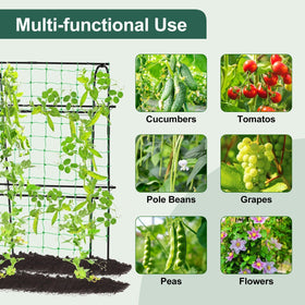 Follook cucumber trellis arch design offering strong vertical plant support.
