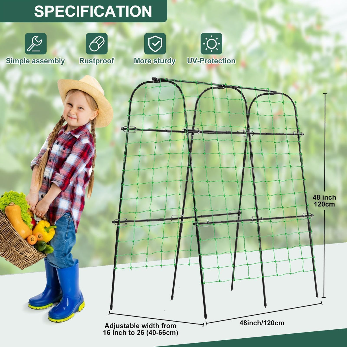 Follook trellis enabling vertical growth for cucumbers and beans.