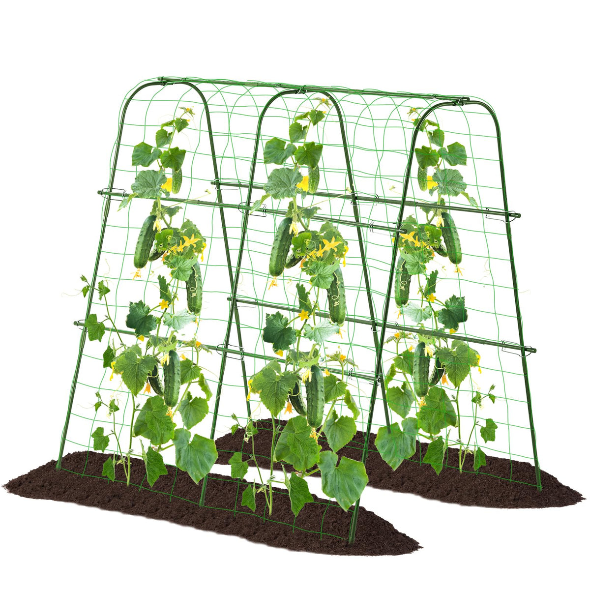 FOLLOOK garden cucumber trellis 48x48 arch supports climbing plants for higher yields