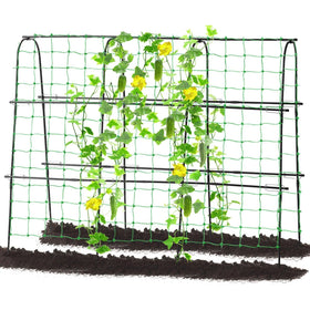 FOLLOOK garden cucumber trellis angle view demonstrates sturdy arch support.