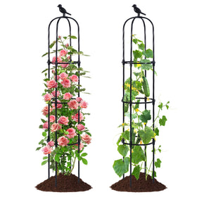 Follook Garden Obelisk Trellis stands 67 inches tall, offering sturdy support for climbing vines.