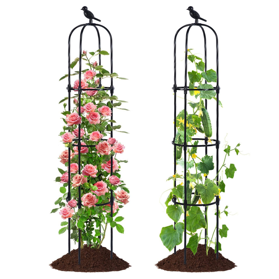 Follook Garden Obelisk Trellis stands 67 inches tall, offering sturdy support for climbing vines.