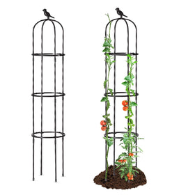 Follook Garden Trellis 67-inch tall obelisk supports climbing plants with stable structure.