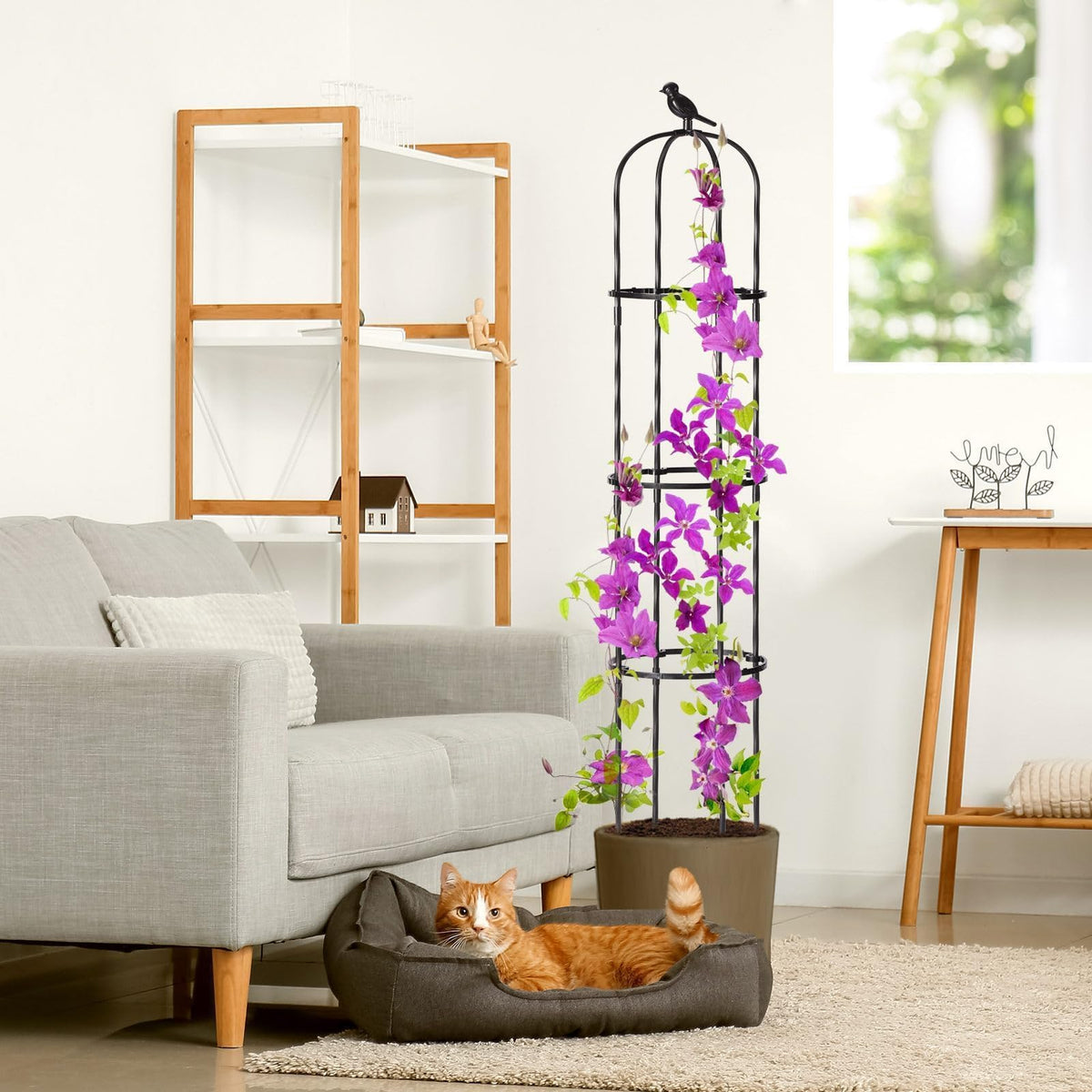 Follook Matte Black finish enhances garden design while guiding plant growth.