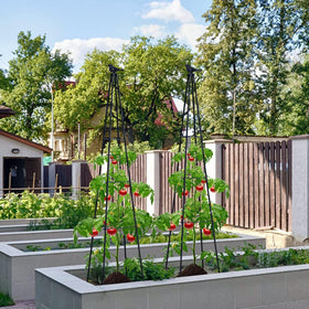 FOLLOOK obelisk garden trellis topper enhances vertical display.