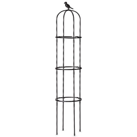 Follook Organized garden bed keeps growth tidy and directs climbers.