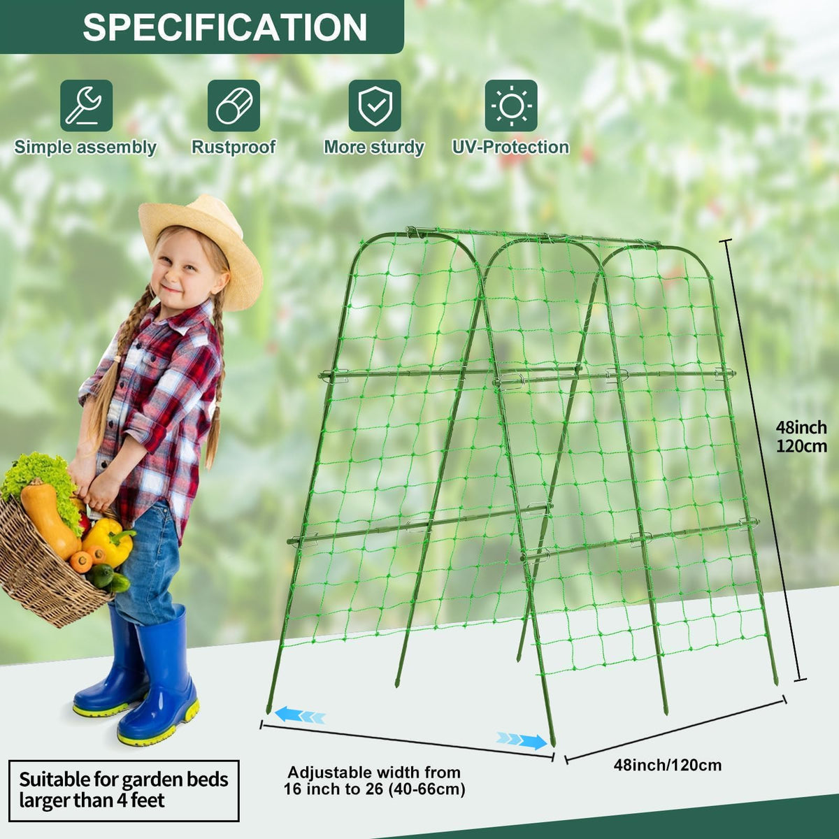 FOLLOOK plant-support for climbing plants keeps vines organized