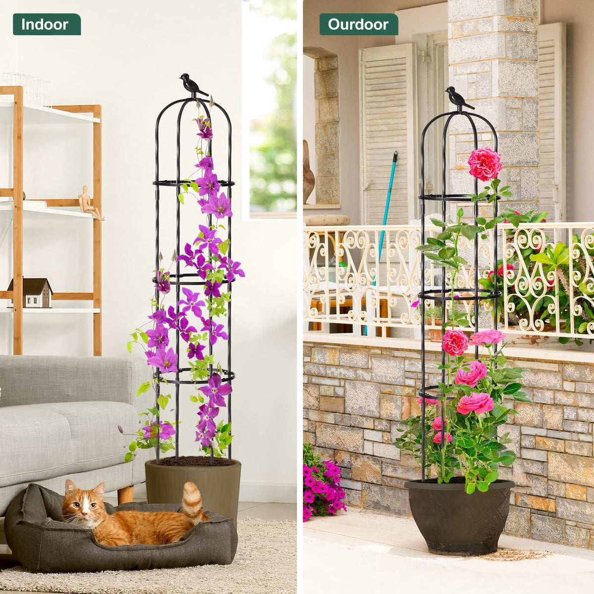 Follook Raised-bed compatible trellis guides growth in raised planters.