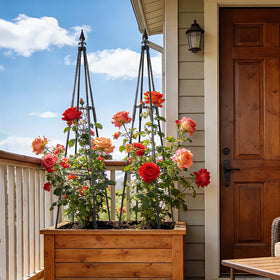 FOLLOOK trellis topper adds elegant decorative touch to your garden framework.