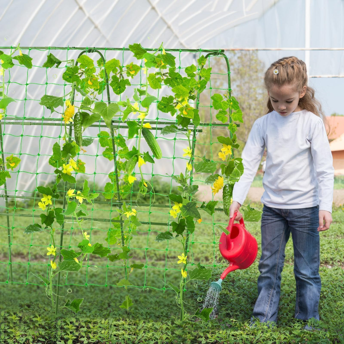 FOLLOOK U-shaped arch trellis side view showing sturdy frame
