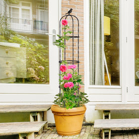 Follook Vertical garden support for veg and vines keeps beds neat and organized.