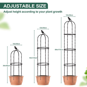 Follook Vine and Tomato support helps keep produce off soil.