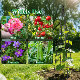 FOLLOOK trellis helps vines like cucumbers and beans climb efficiently.
