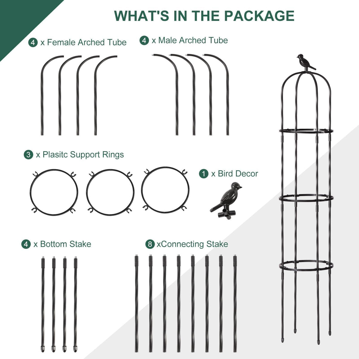 Follook Wind-stability helps plants stay upright in breezy weather.
