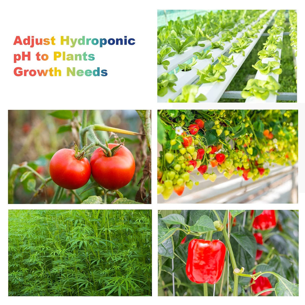 Followin pH indicator solution drops provide quick color readings for dosing.