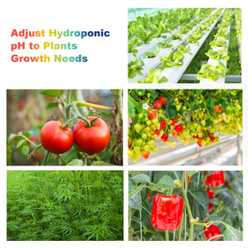 Followin pH indicator solution drops provide quick color readings for dosing.