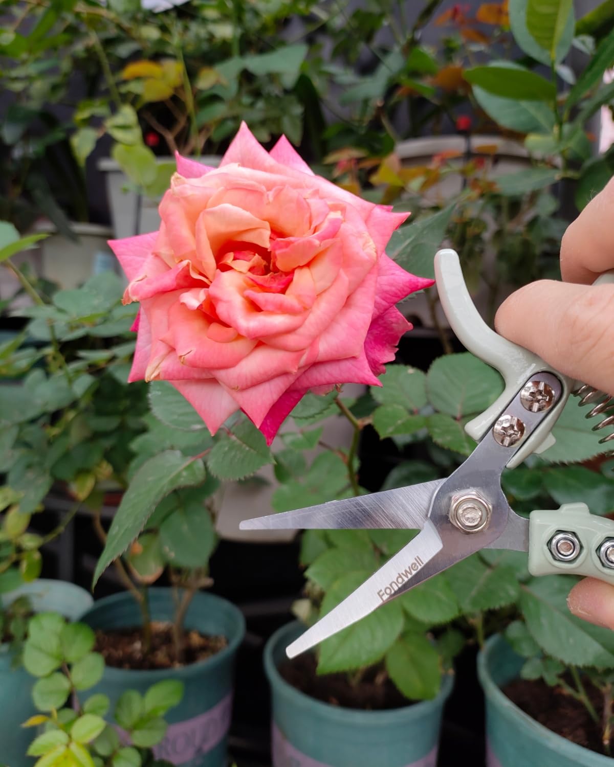 Fondwell durable-spring ensures smooth, effortless cutting during extended gardening
