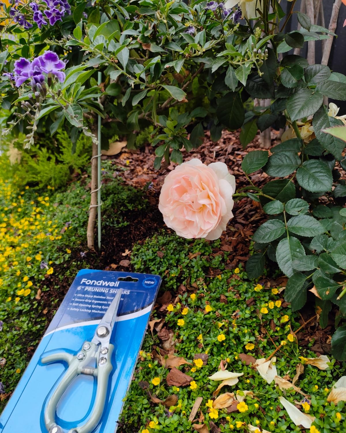 Fondwell fruits-vegetables-harvest enable clean snips on produce