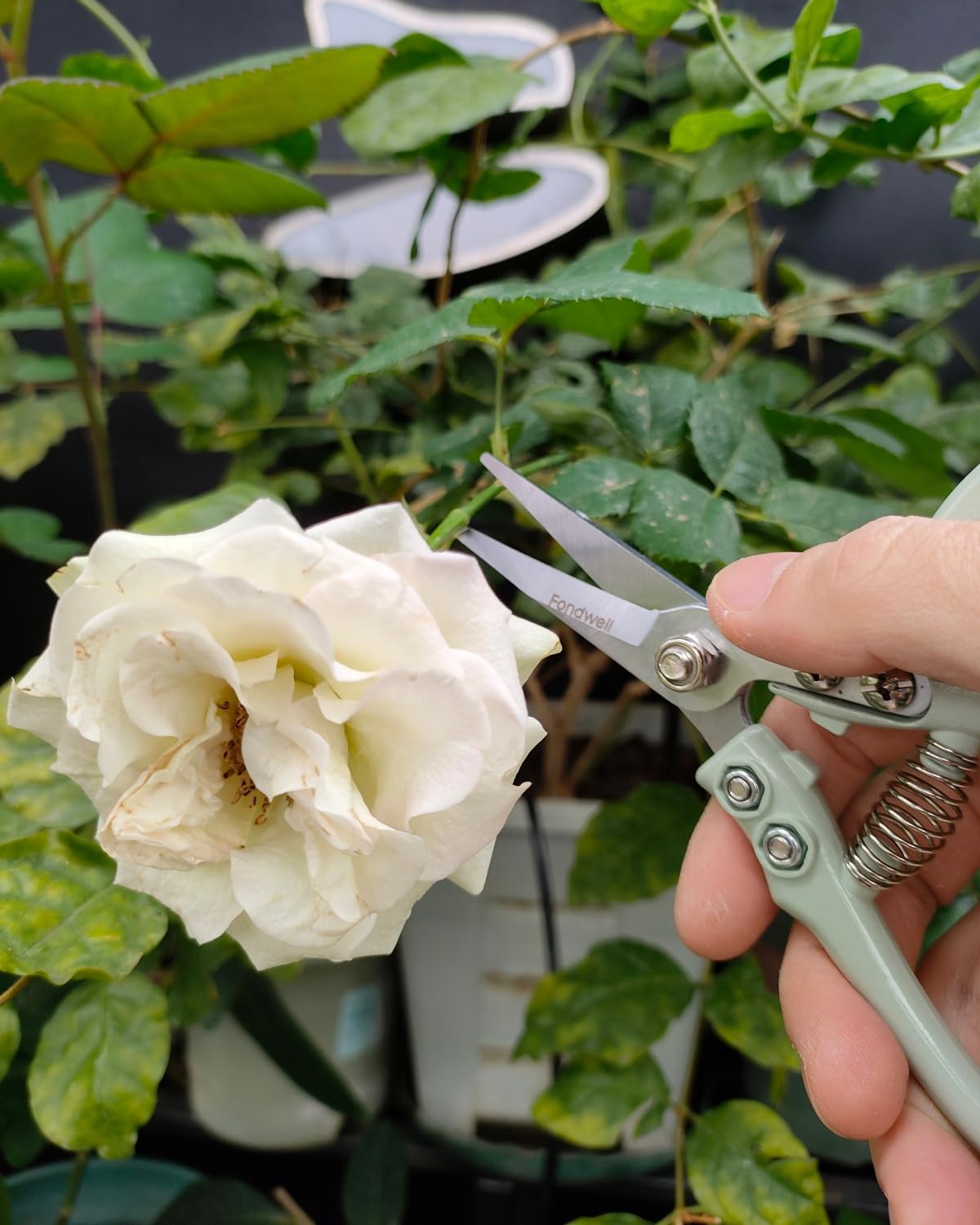 Fondwell pruning-shears safety-lock keeps blades secure between tasks