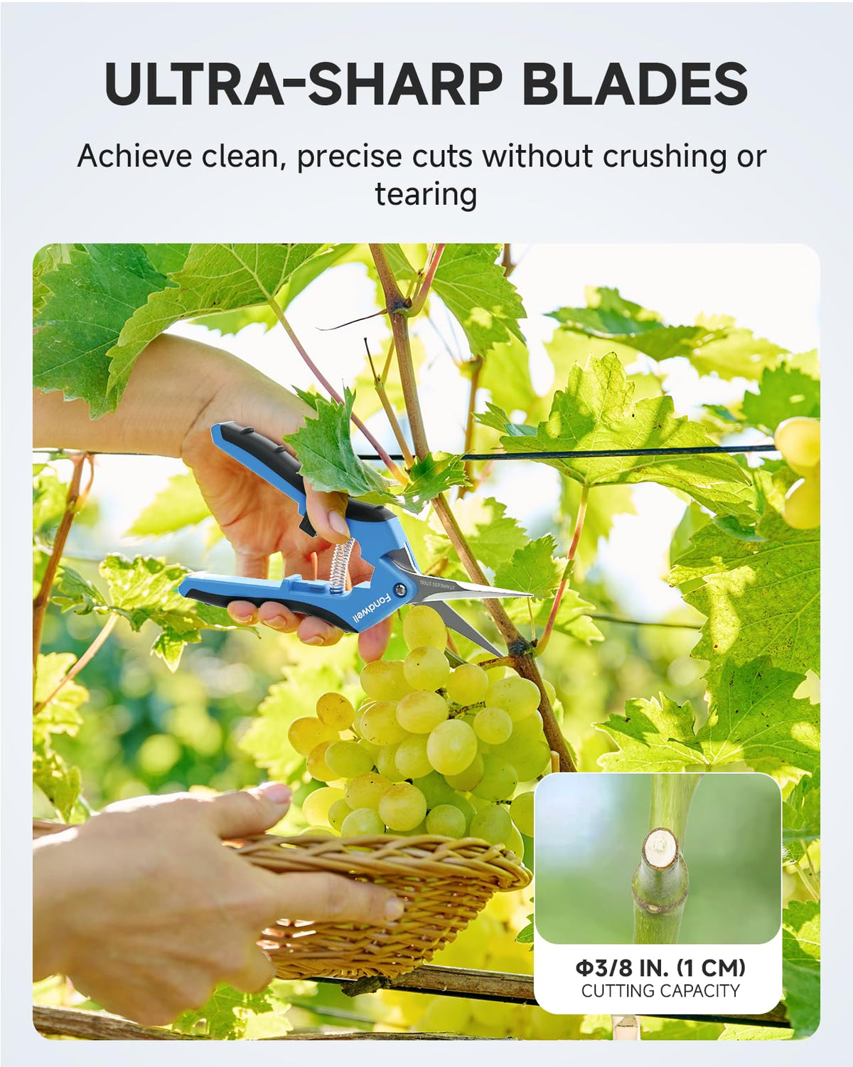 Fondwell pruning shears with micro-tip blades for delicate stems