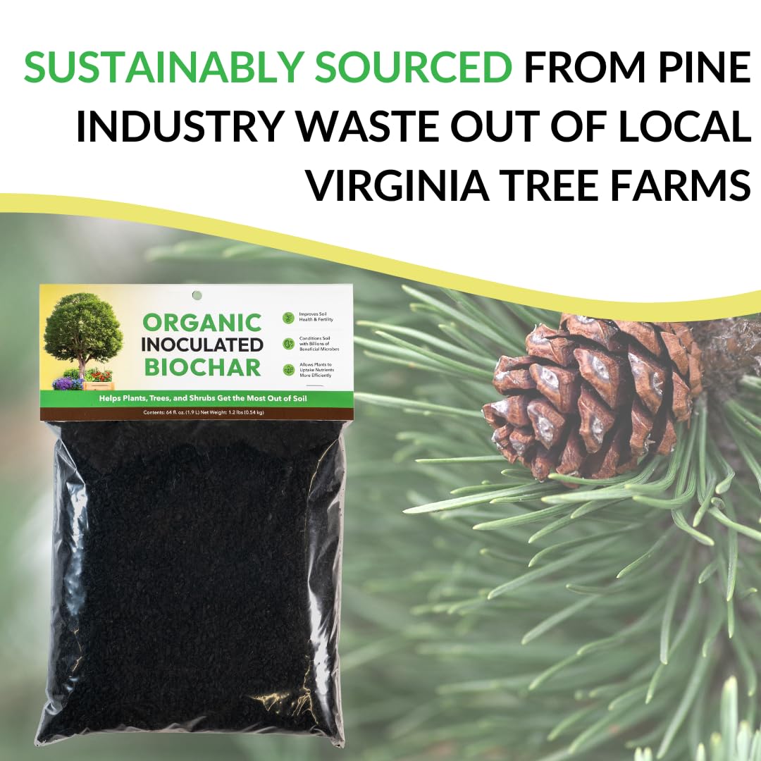 FOOP biochar in a container garden improving root zone soil structure
