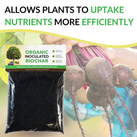 FOOP biochar being mixed with soil in a garden bed