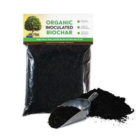 FOOP biochar microbe-rich close-up highlighting microbial population for soil health