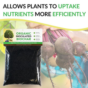 FOOP Biochar sustainably sourced from pine waste supports eco-friendly gardening.