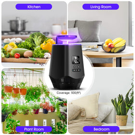 Fooxem temperature humidity sensor display provides real-time air quality hints