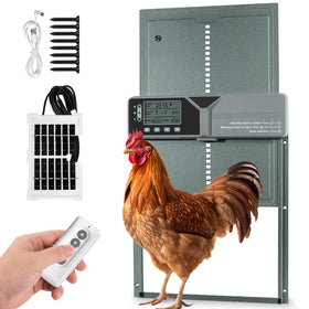 Fophop large automatic chicken door front view showing wide opening for easy entry