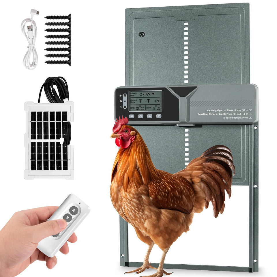 Fophop large automatic chicken door front view showing wide opening for easy entry